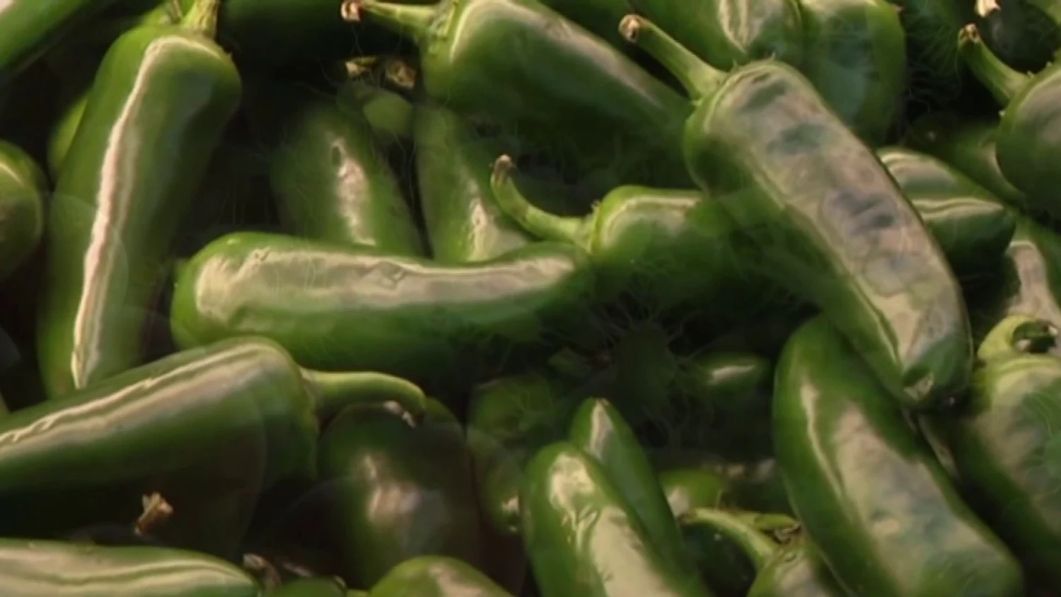 Estados Unidos relaciona 345 casos de Salmonella con jalapeños mexicanos.webp